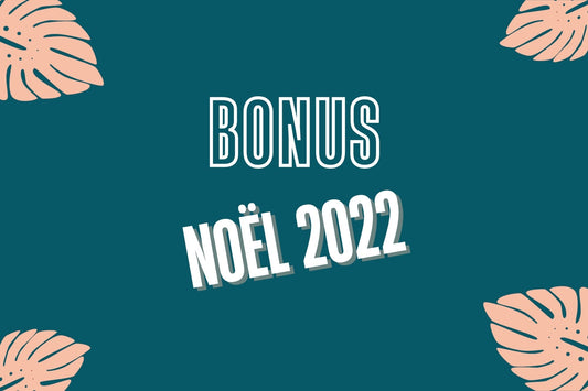 Épisode BONUS - Noël 2022